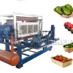 apple fruit tray making machine