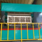 egg tray machine manufacturer