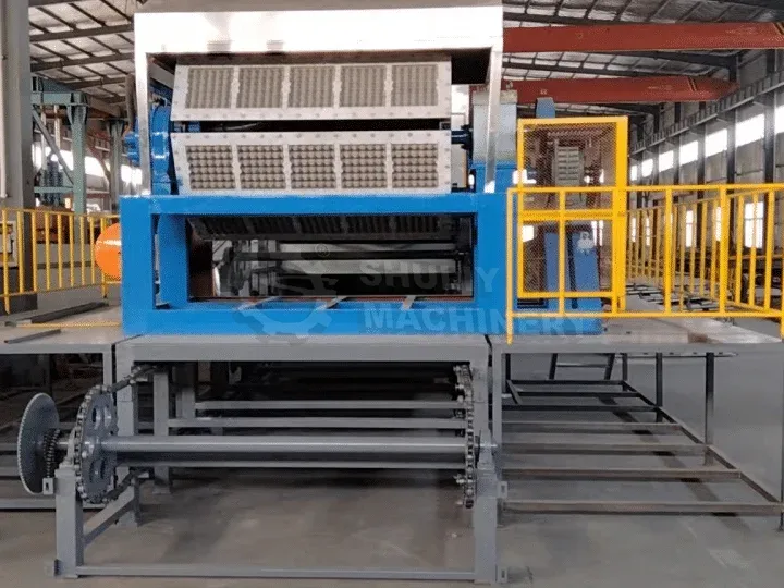 large egg tray making machine