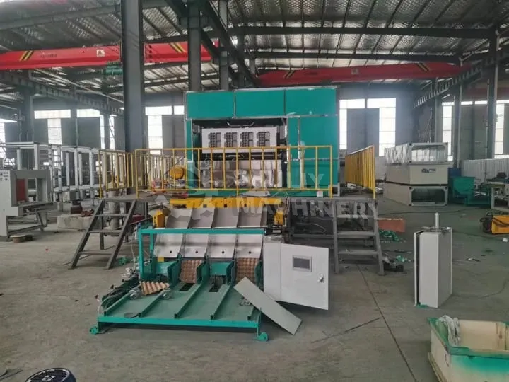 large scale paper egg tray machine for sale