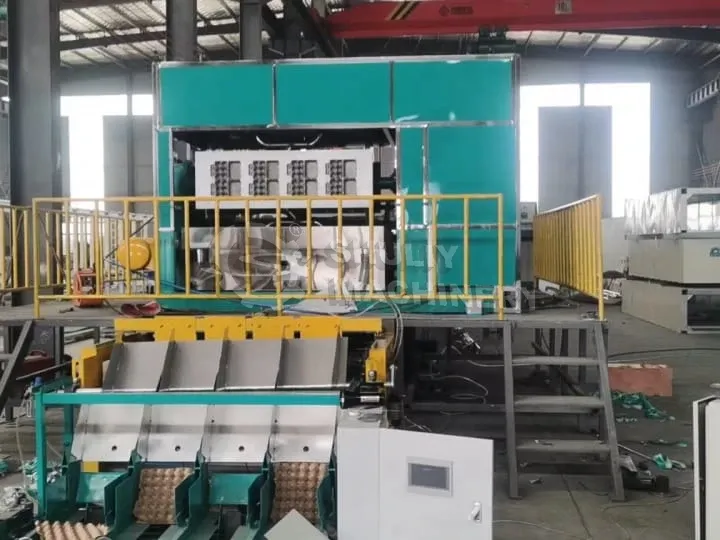 egg carton making machine with collection